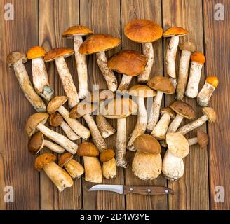 Herbstzusammensetzung. Verschiedene rohe essbare Steinpilze leccinum auf rustikalem Tisch mit Messer. CEPS auf dunklem Holzhintergrund. Kochen köstliche Bio-Pilz Gourmet-Essen. Flache Lay-Ansicht von oben Stockfoto