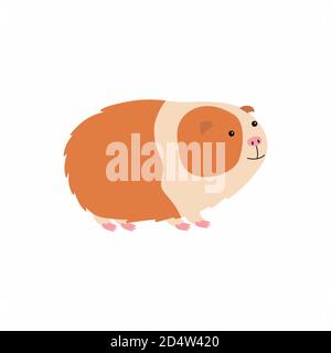 Vektor-Illustration von niedlichen Cartoon Meerschweinchen. Stock Vektor