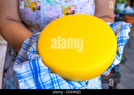Gelber Käsekopf in einem karierten Handtuch in Frauenhänden gewickelt. Runder Käsekopf . Eine Erwachsene kaukasische Frau hält das Produkt in ihren Händen. Ziegenkäse. Selbstgemacht. Stockfoto