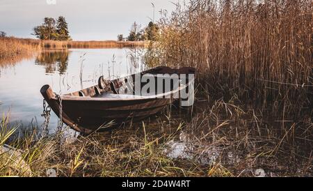 Altes Eichenboot an Schilf im schwedischen Archipel gekettet Im Herbst Stockfoto