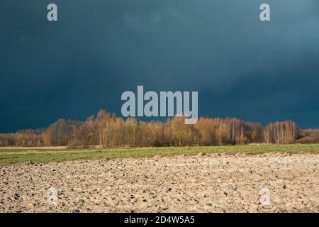 Gepflügte Feld, Herbstwald und dunkle Wolken am Himmel Stockfoto