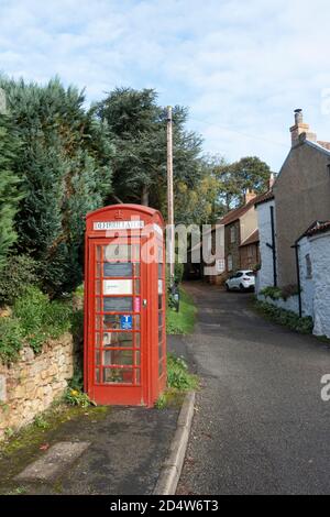 Defibrillator und Dorfbibliothek in alten Telefonkasten Tealby Lincolnshire 2020 Stockfoto