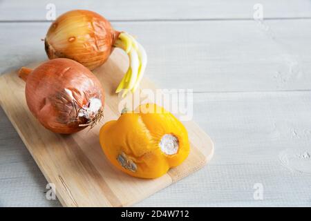 Das ganze verdorbene, verfaulte vegetablesauf dem hölzernen Brett auf dem weißen Hintergrund. Schimmel auf Zwiebeln und Paprika aus der Nähe. Veraltest, abgelaufenes Produkt Stockfoto