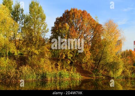 Herbstlandschaft. See in Mitino malerischer Landschaftspark. Moskau, Russland Stockfoto