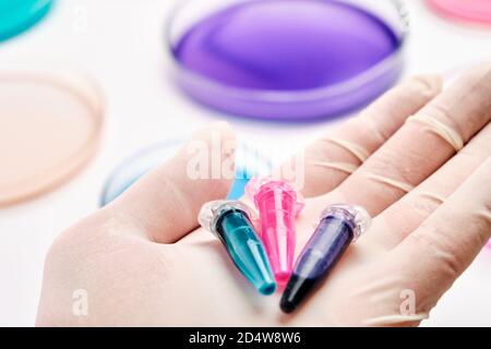 Eppendorf Röhrchen mit blauen, grünen und rosa Flüssigkeiten in der Hand des Wissenschaftlers auf dem Hintergrund von Petrischalen für die mikrochemische Analyse. Stockfoto