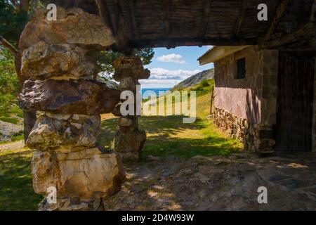 El Brezo. Villafria de la Peña, Provinz Palencia, Castilla Leon, Spanien. Stockfoto