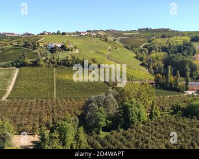 Blick auf die herrlichen Weinberge der Langhe, die mit Nebbiolo-Trauben aus dem kleinen Dorf Castiglione Falletto in der Provinz Cuneo angebaut werden. Stockfoto