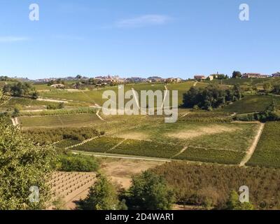 Blick auf die herrlichen Weinberge der Langhe, die mit Nebbiolo-Trauben aus dem kleinen Dorf Castiglione Falletto in der Provinz Cuneo angebaut werden. Stockfoto