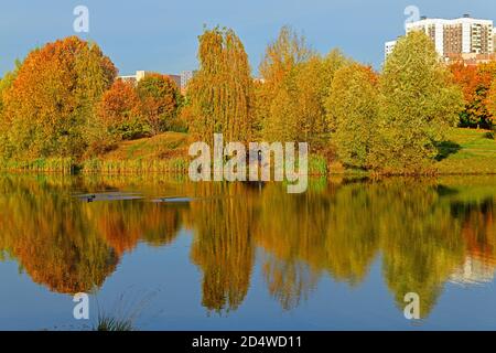 Herbstlandschaft. Penyaginsky See in Mitino malerischen Landschaftspark. Moskau, Russland Stockfoto