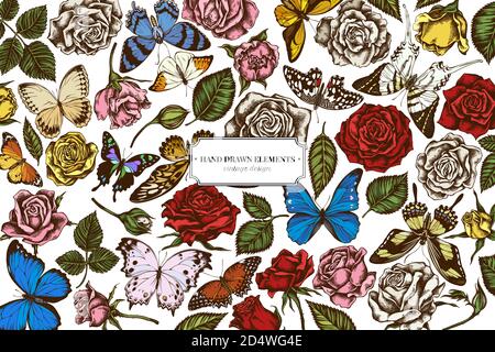 Florales Design mit farbigem menelaus blauem Morpho, riesigem Schwertschwanz, blauem Morpho, Zitronenschmetterling, roter Schnürung, afrikanischem Riesenschwalbenschwanz, alcides Stock Vektor