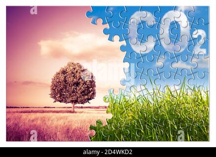 Reduktion der CO2-Präsenz in der Atmosphäre - Puzzle-Konzeptbild gegen ein grünes Wildgras mit einem isolierten Baum in einem Weizenfeld. Stockfoto