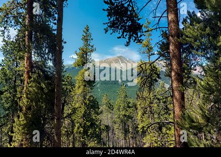 Blick auf Mount Elbert, den höchsten Gipfel in Colorado, den zweithöchsten in den unteren 48 US-Bundesstaaten Stockfoto