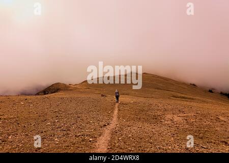 Wandern im Nebel auf dem 485 Mile Colorado Trail, Colorado Stockfoto