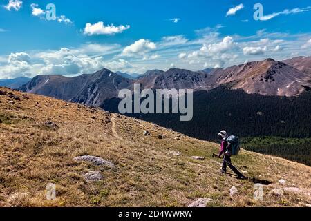 Wandern auf den Collegiate Peaks, Collegiate West auf dem 485 Meilen langen Colorado Trail, Colorado Stockfoto