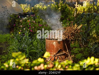 Brennende Blätter, Feuer während der Reinigung des Gartens im frühen Herbst, Amersham, England Stockfoto