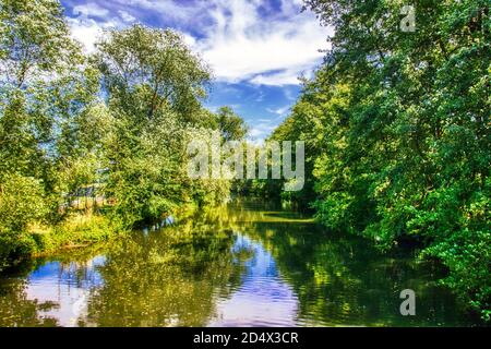 Die magische Welt des Waldes in bunten Farben / Wandern in der Natur ist gut für Seele und Körper Stockfoto