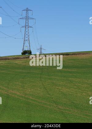 Strommasten, die über die Felder Streifen und Schatten in der bilden Neue Ernte wächst unten Stockfoto