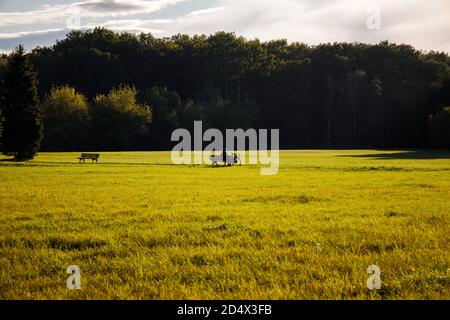 Person sitzt auf einer Bank auf einer großen Wiese innen Vor dem Wald Stockfoto