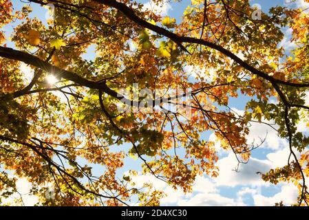 Farbenfrohe Herbstlandschaft rund um chalfont st giles, Chilterns, England Stockfoto