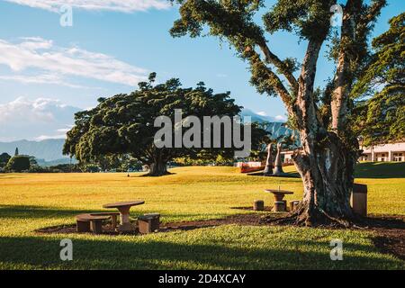 Schöne Aufnahme des Kaneohe Bezirksparks auf einem sonnigen Tag in der Nähe von Honolulu in Hawaii bei Tageslicht Stockfoto