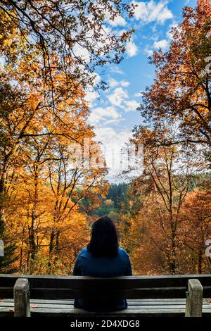 Frau in Blau auf einer Bank im Herbstwald Blick in den strahlend blauen Himmel Stockfoto