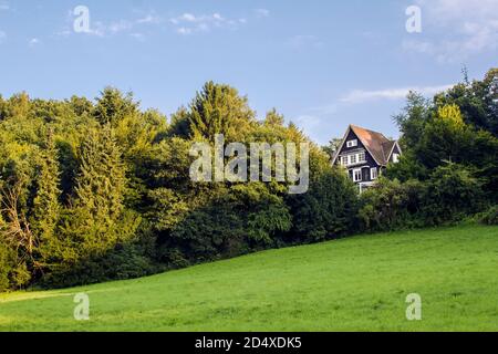 Rustikales Landhaus auf dem Waldhügel im Sommer Stockfoto