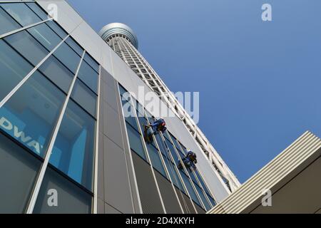 Tokio, Japan-2/27/16: Zwei Arbeiter, die von einem der Gebäude, das an den Tokyo Sky Tree angeschlossen ist, abstoßen und mit den Fenstern des Gebäudes interagieren. Stockfoto