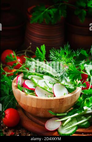 Frühlingssalat mit frischer Gurke, Radieschen, Kräutern, Knoblauch in Schüssel auf einem alten Holztisch, selektiver Fokus Stockfoto