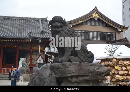 Tokyo, Japan-2/28/16: Nahaufnahme eines der größeren offenen Mündungskomainu, der die Vorderseite des Asakusa Jinja shinto-Schreins bewacht. Stockfoto