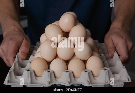 Männliche Hände halten ein volles Tablett mit frischen und sauber Hühnereier Stockfoto