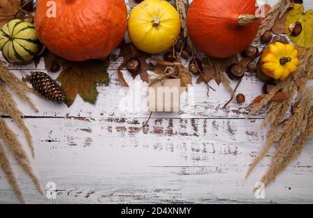 Herbstkomposition mit Blättern, Kürbis und Kastanien auf hellem Hintergrund Stockfoto