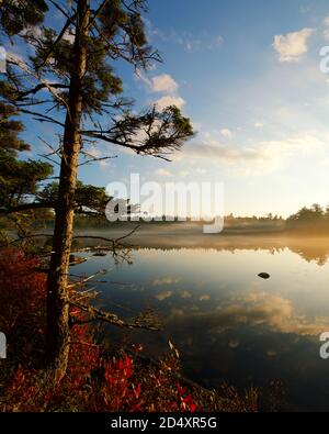 Misty Daicey Pond im Baxter State Park Maine Stockfoto