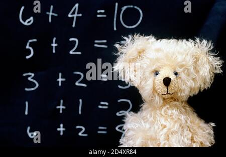 Teddybär Stockfoto