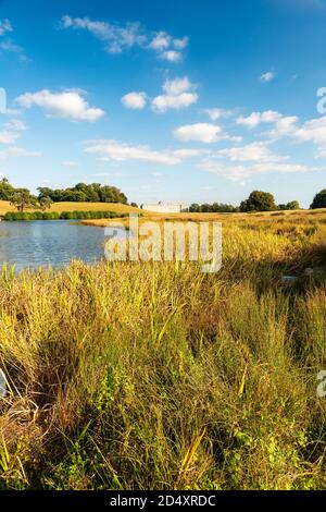 Ein Spätsommernachmittag im Petworth Park, der von Lancelot 'Capability' Brown, Petworth, West Sussex gestaltet wurde Stockfoto