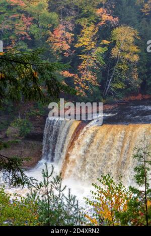 Upper Tahquamenon Falls, Tahquamenon Falls SP, Autumn, Michigan, USA von James D. Coppinger/Dembinsky Photo Assoc Stockfoto