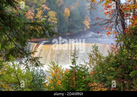 Upper Tahquamenon Falls, Tahquamenon Falls SP, Autumn, Michigan, USA von James D. Coppinger/Dembinsky Photo Assoc Stockfoto