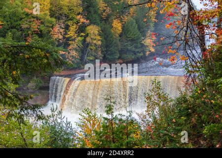 Upper Tahquamenon Falls, Tahquamenon Falls SP, Autumn, Michigan, USA von James D. Coppinger/Dembinsky Photo Assoc Stockfoto