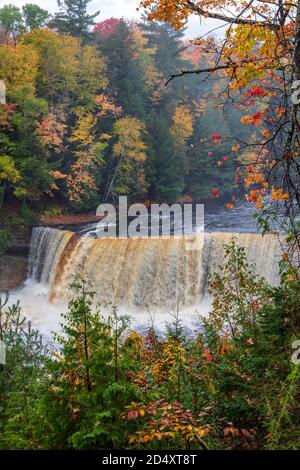 Upper Tahquamenon Falls, Tahquamenon Falls SP, Autumn, Michigan, USA von James D. Coppinger/Dembinsky Photo Assoc Stockfoto