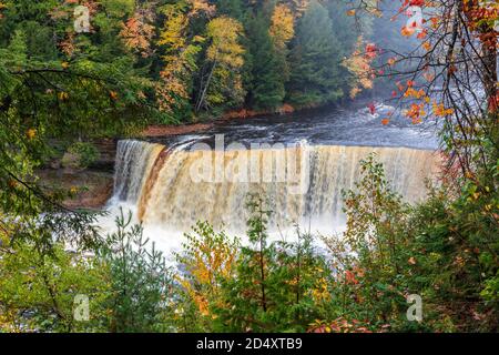 Upper Tahquamenon Falls, Tahquamenon Falls SP, Autumn, Michigan, USA von James D. Coppinger/Dembinsky Photo Assoc Stockfoto