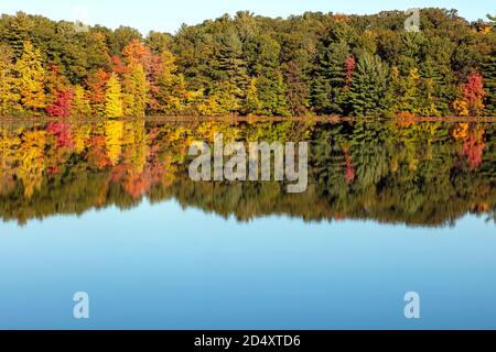 Hall Lake, Autumn, Yankee Springs Recreation Area, MI, USA, von James D. Coppinger/Dembinsky Photo Assoc Stockfoto