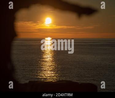 Morgensonne eingerahmt von Baumzweigen und Spinnennetz; im Acadia National Park Maine. Stockfoto