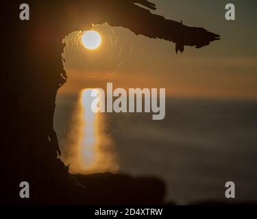 Morgensonne eingerahmt von Baumzweigen und Spinnennetz; im Acadia National Park Maine. Stockfoto