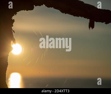 Morgensonne eingerahmt von Baumzweigen und Spinnennetz; im Acadia National Park Maine. Stockfoto