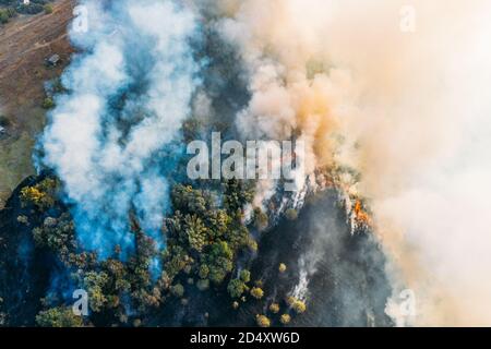 Wald- und Feldfeuer, brennendes trockenes Gras und Bäume mit riesigem Rauch, Naturkatastrophe, Luftaufnahme von oben. Stockfoto