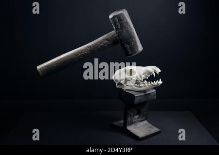 Gefangen zwischen Hammer und Amboss. Zeigt die schwere tödliche Wirkung, die Menschen auf die Natur haben. Stockfoto
