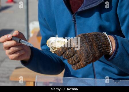 Eine Auster in der Hand zu essen. Stockfoto