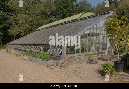 Traditionelle Ziegelbasis und Holzrahmen Gewächshaus für den Anbau von Obst in einem Gemüsegarten auf Gravetye Manor in Rural West Sussex, England, Großbritannien Stockfoto