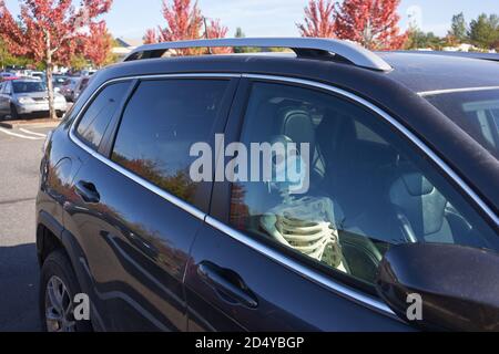 Ein lebensgroßes Halloween-Skelett mit Gesichtsmaske sitzt in einem Auto in Tigard, Oregon, am 9. Oktober 2020, inmitten der Coronavirus-Pandemie. Stockfoto