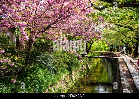 Philosophenweg in Kyoto, Japan Stockfoto