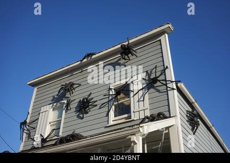 Halloween Spinnen Dekorationen auf einem Wohnhaus. Stockfoto